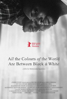 Read more about the article All the Colours of the World Are Between Black and White