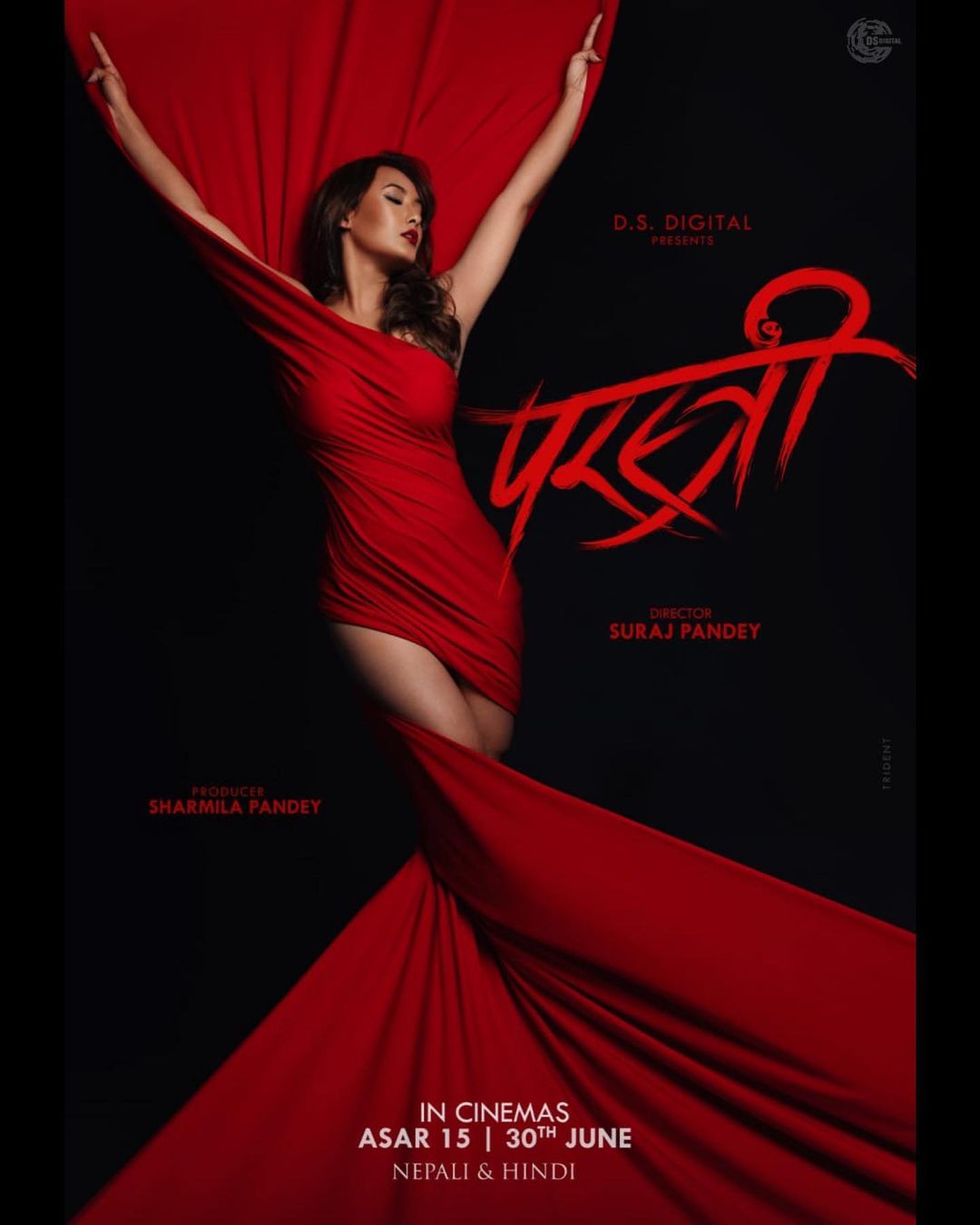 Parstree Movie (2023) Cast, Release Date, Story, Budget, Collection, Poster, Trailer, Review