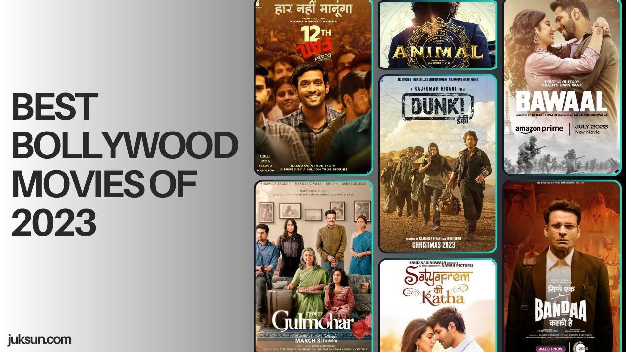 Read more about the article Best Bollywood Movies of 2023