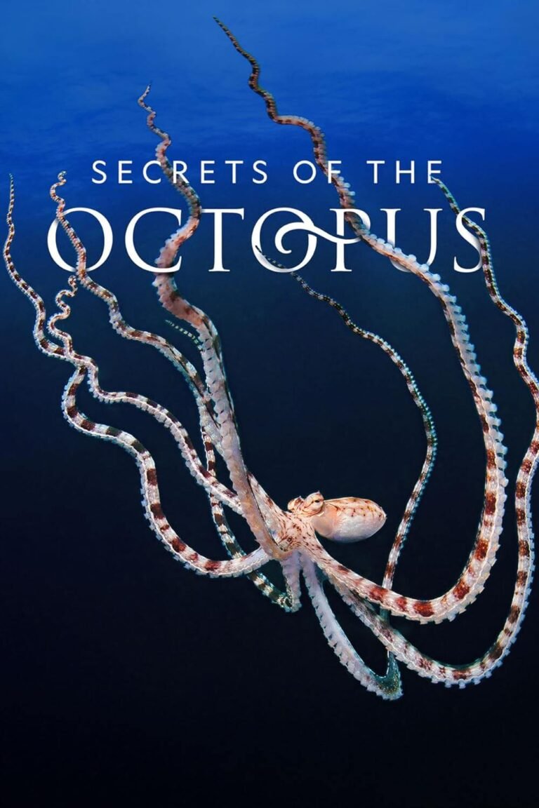 Secrets of the Octopus Documentary TV Series Poster