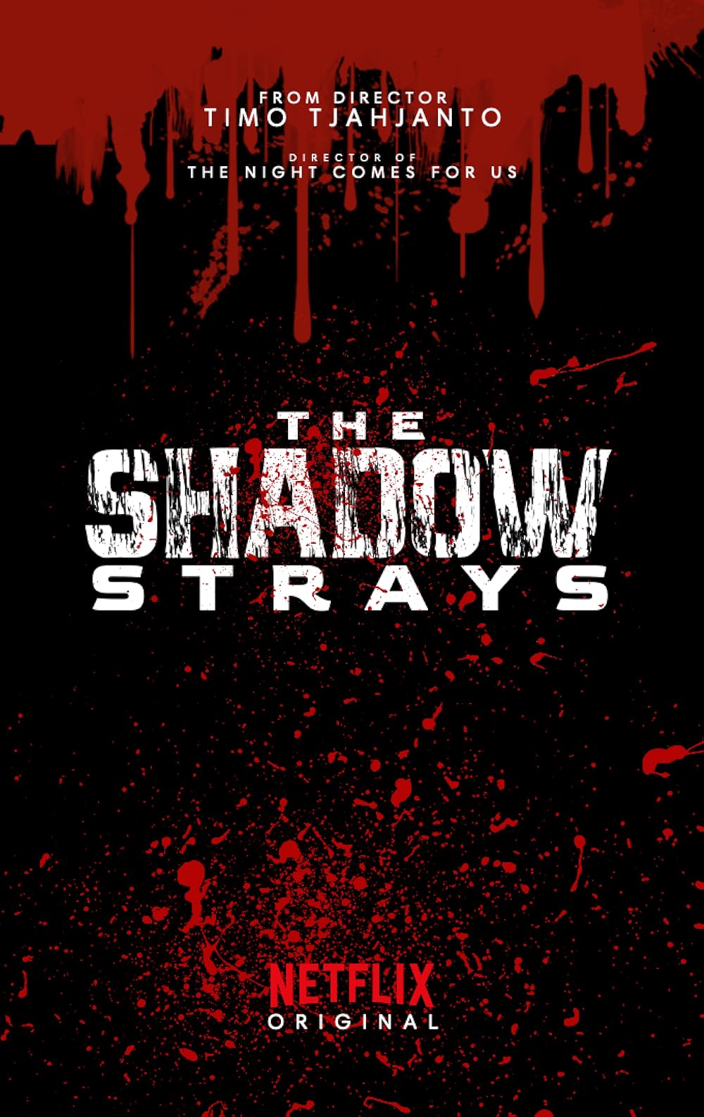 The Shadow Strays Movie Poster