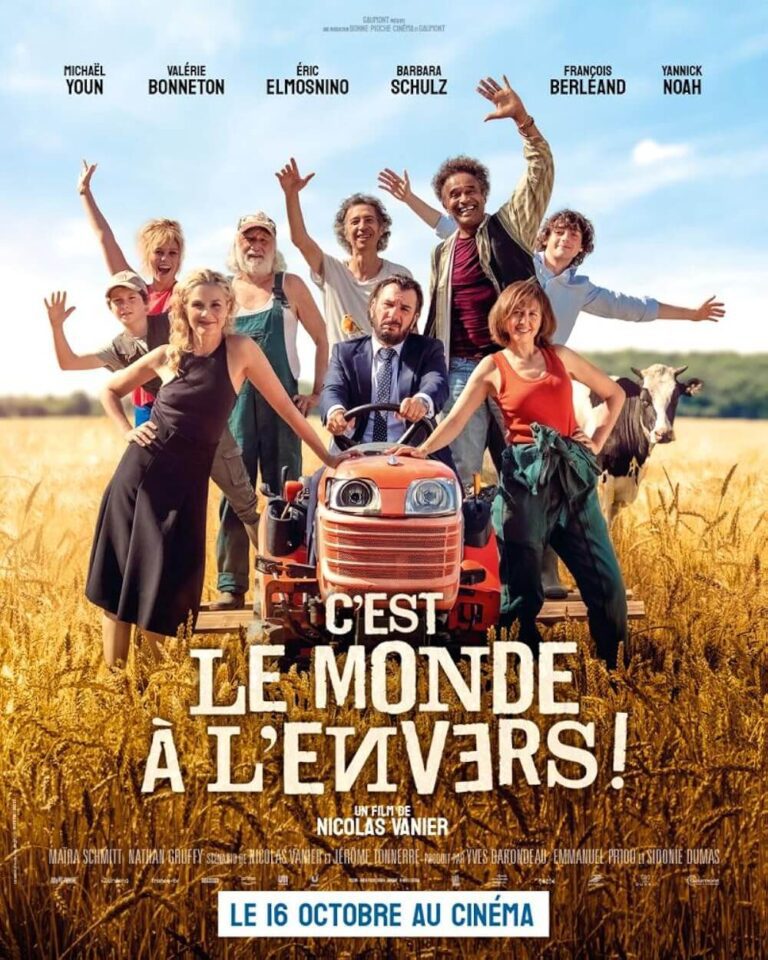 C'est le monde à l'envers ! Movie Poster