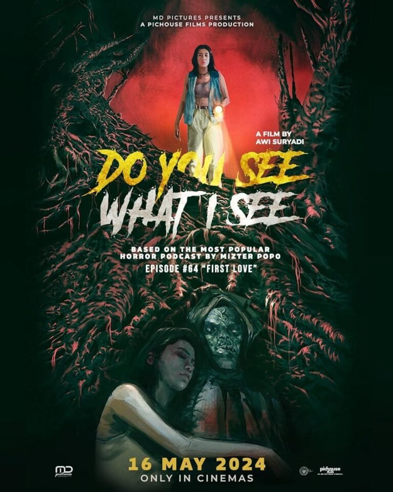 Do You See What I See Movie Poster