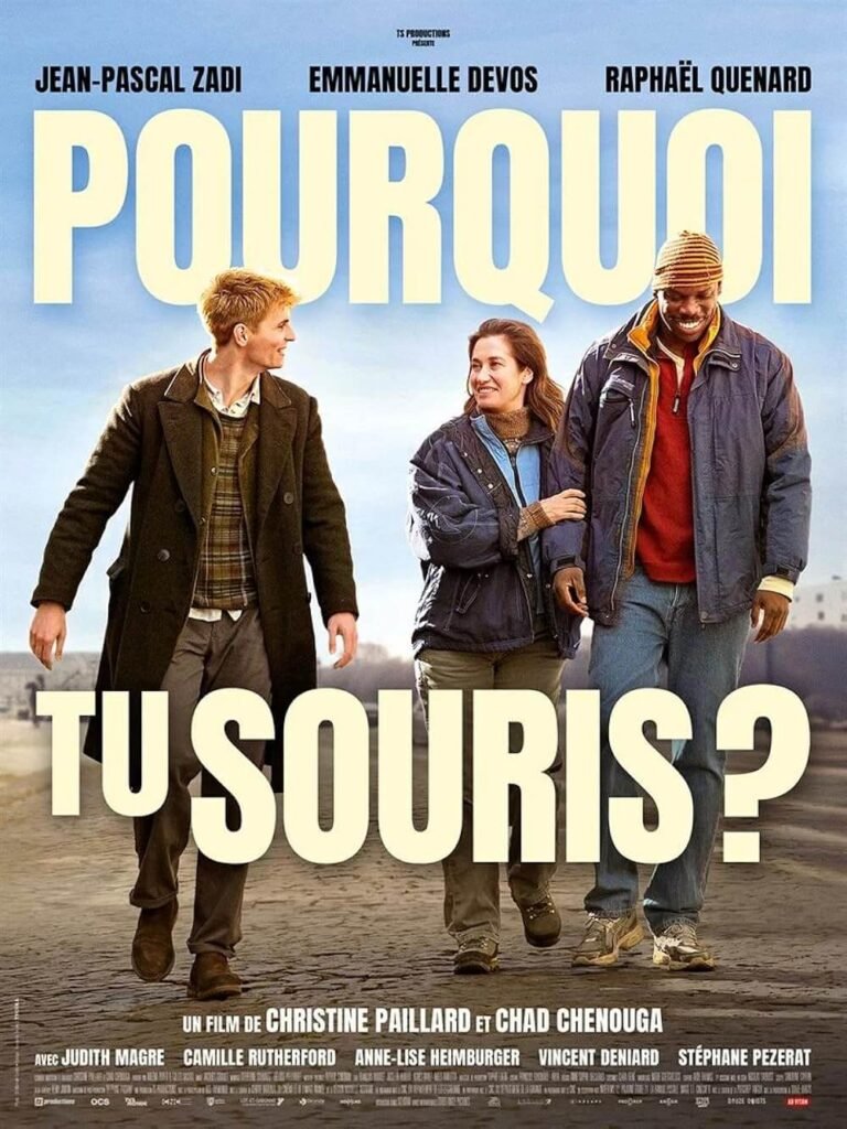 Pourquoi tu souris? Movie Poster