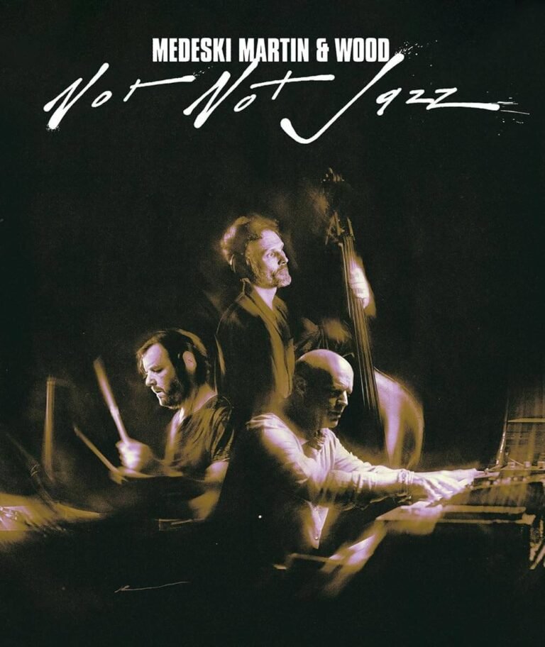 Not Not Jazz Documentary Movie poster