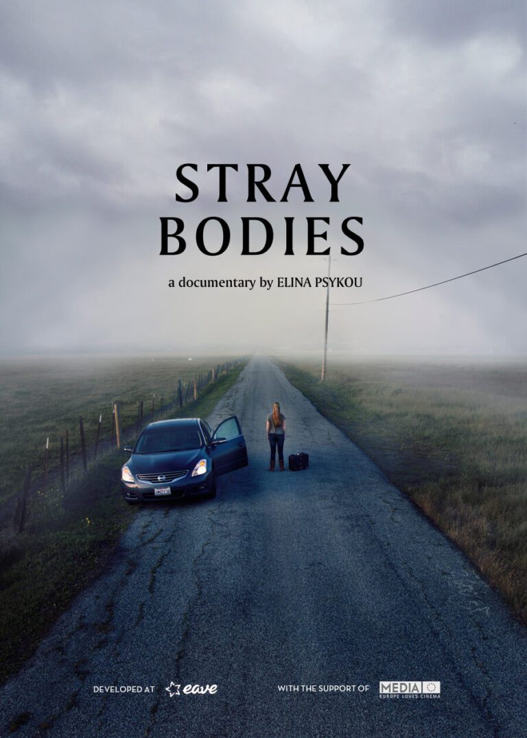 Stray Bodies Movie Poster