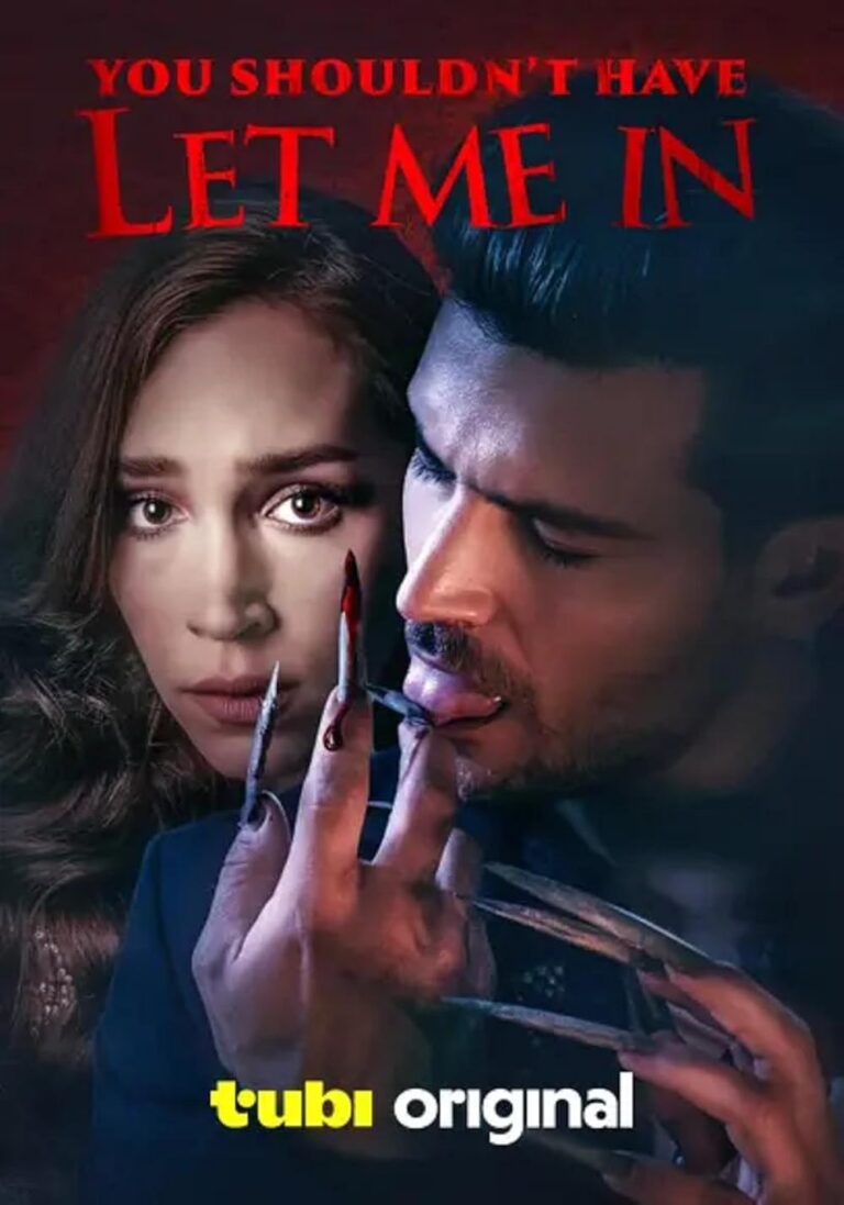 You Shouldn't Have Let Me In Movie Poster