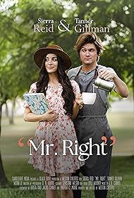 Mr. Right Movie Poster