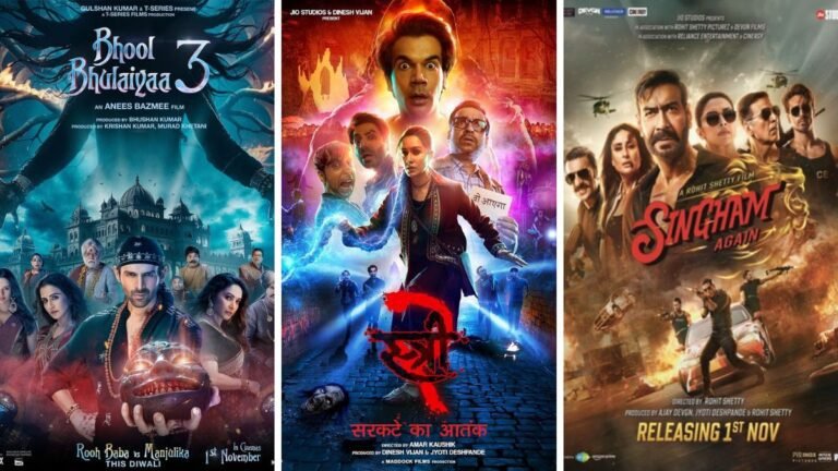 Top 20 Highest Grossing Bollywood Movies of 2024 (Bollywood Box Office Collection Report)