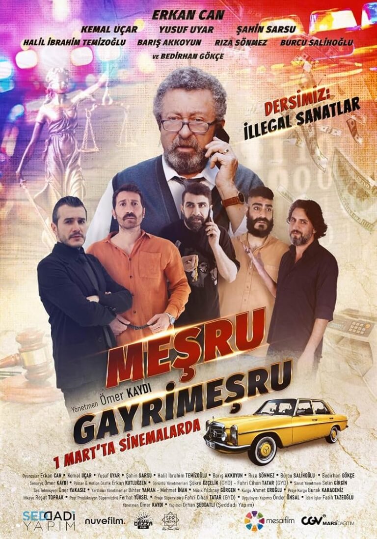 Mesru Gayrimesru Movie Poster