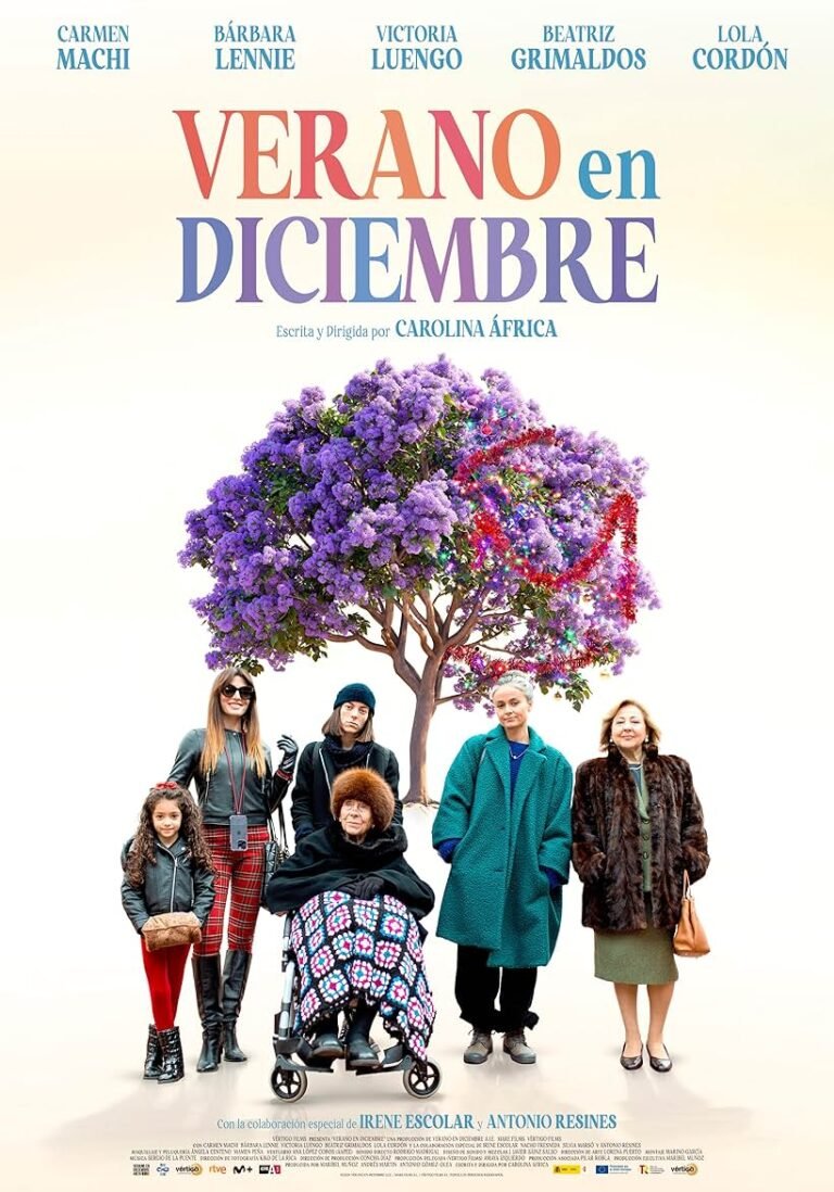 Verano en diciembre Movie Poster