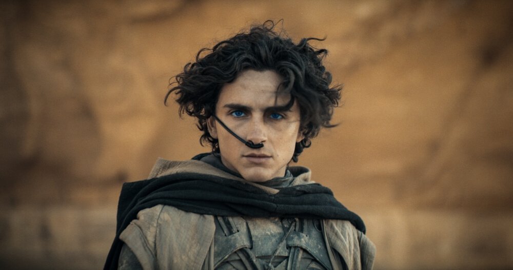 50 Best Movies of 2024 That You Absolutely Must See 49 Dune: Part Two Movie Poster
