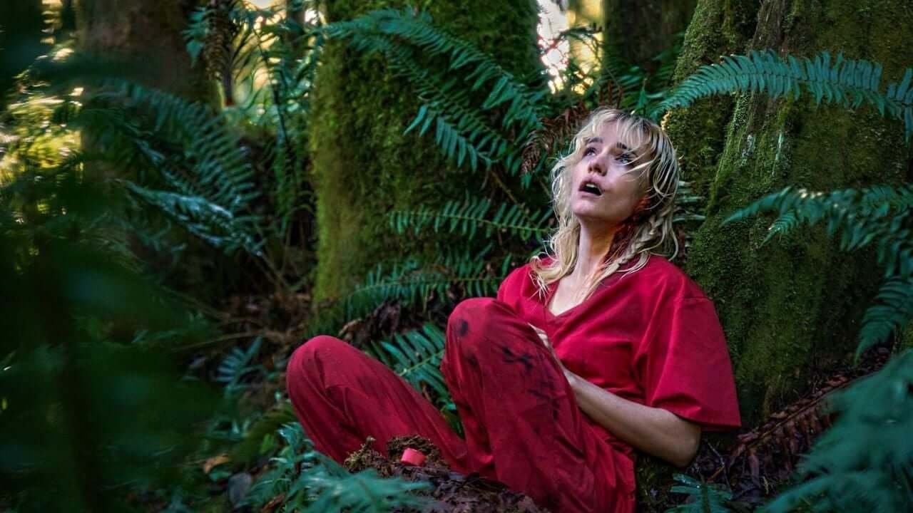 35 Best Horror Thriller Movies of 2024 So Far, Ranked 14 Strange Darling Movie Poster