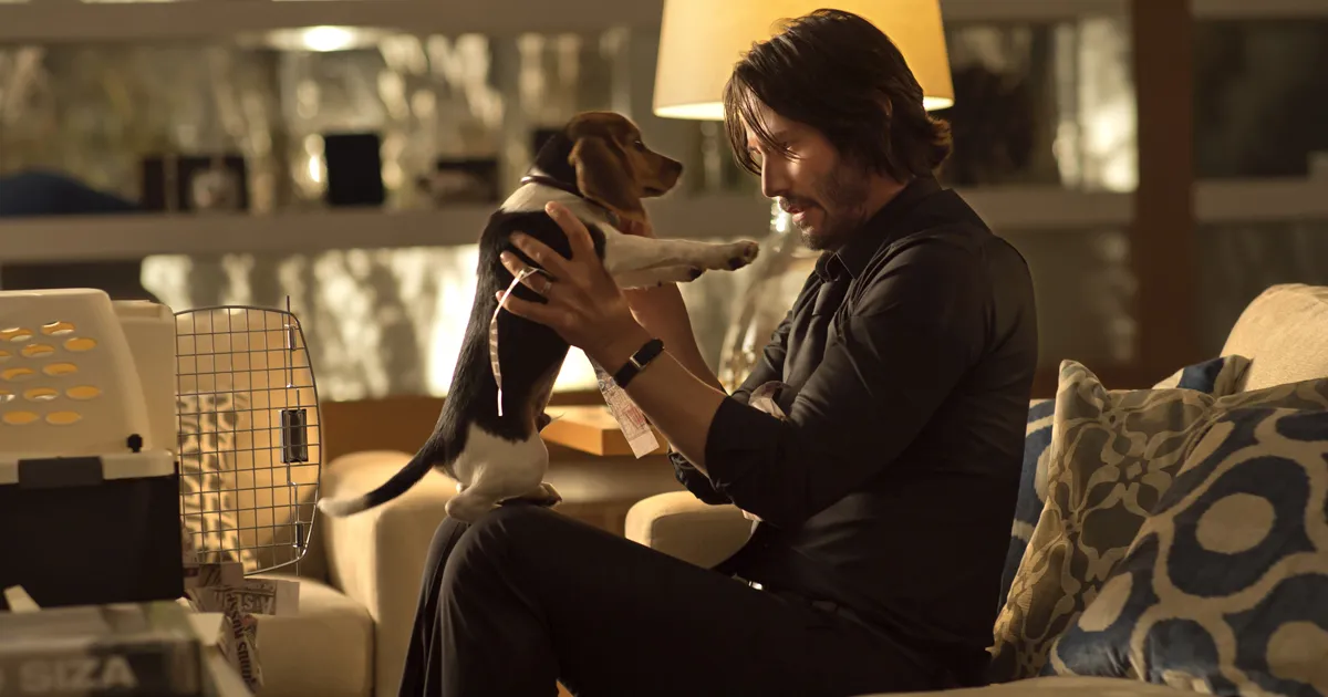 How to Watch the John Wick Movies in Order (Chronologically and by Release Date) 3 John Wick (2014) movie photo