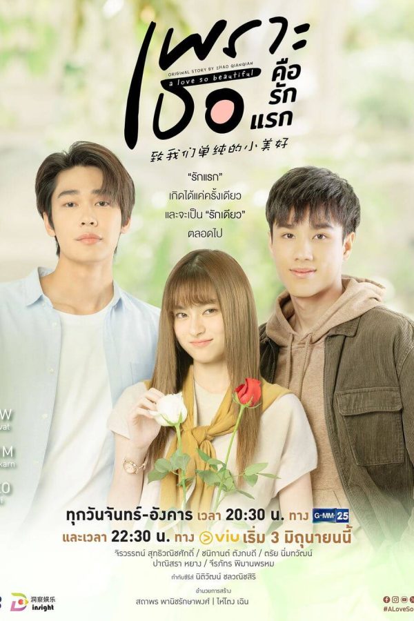 A Love So Beautiful TV Series Poster