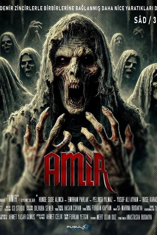 Amir Movie Poster