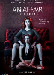 An Affair to Forget Movie Poster