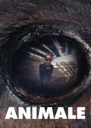 Animale Movie Poster