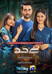 Bayhadh TV Series Poster