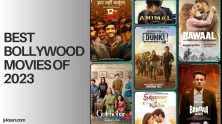 Best Bollywood Movies of 2023