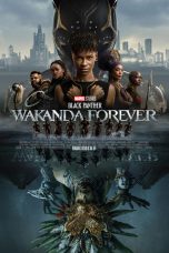 Black Panther: Wakanda Forever Movie (2022) Cast & Crew, Release Date, Story, Review, Poster, Trailer, Budget, Collection