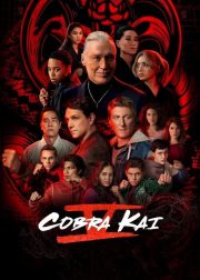Cobra Kai (Season 5) TV Series Poster