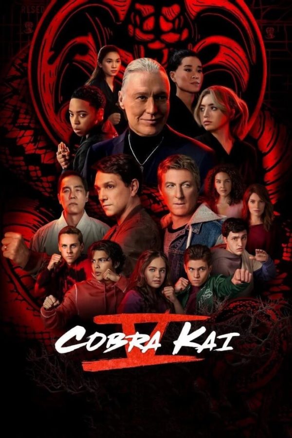 Cobra Kai (Season 5) TV Series Poster