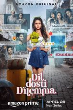 Dil Dosti Dilemma (Season 1) Movie Poster