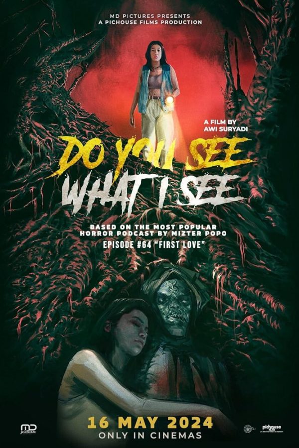 Do You See What I See Movie Poster