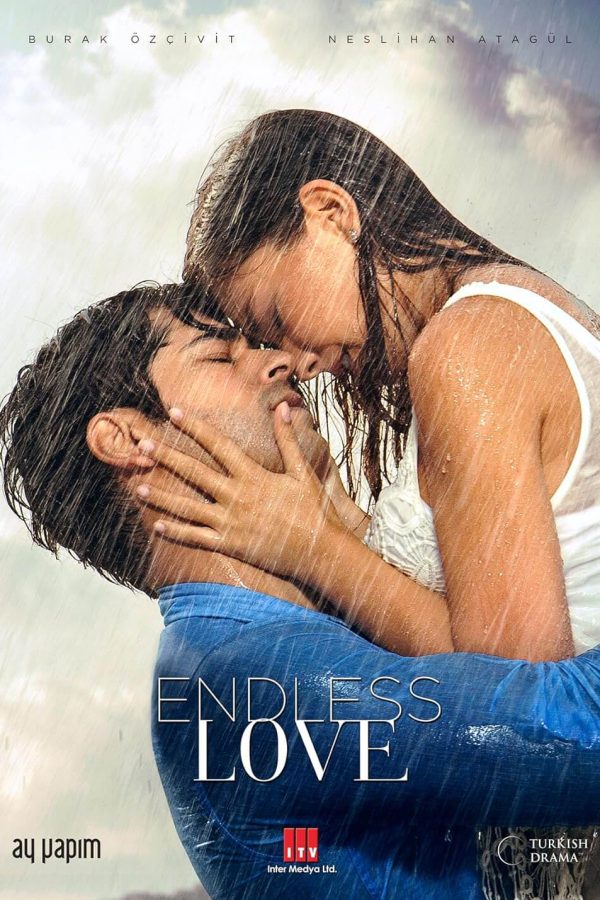 Endless Love TV Series Poster