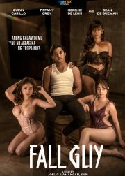Fall Guy Movie (2023) Cast, Release Date, Story, Budget, Collection, Poster, Trailer, Review