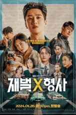 Flex X Cop TV Series Poster