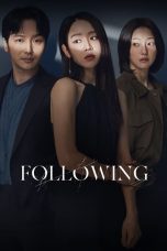 Following movie poster