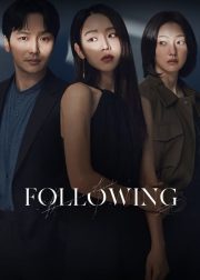 Following movie poster