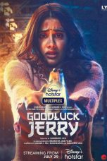 Good Luck Jerry Movie Poster