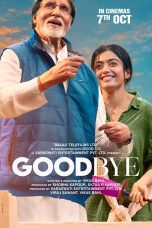 Goodbye Movie Poster
