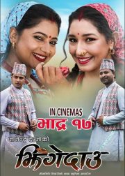 Jhingedaau Movie (2022) Cast, Release Date, Story, Budget, Collection, Poster, Trailer, Review