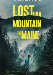 Lost on a Mountain in Maine Movie Poster