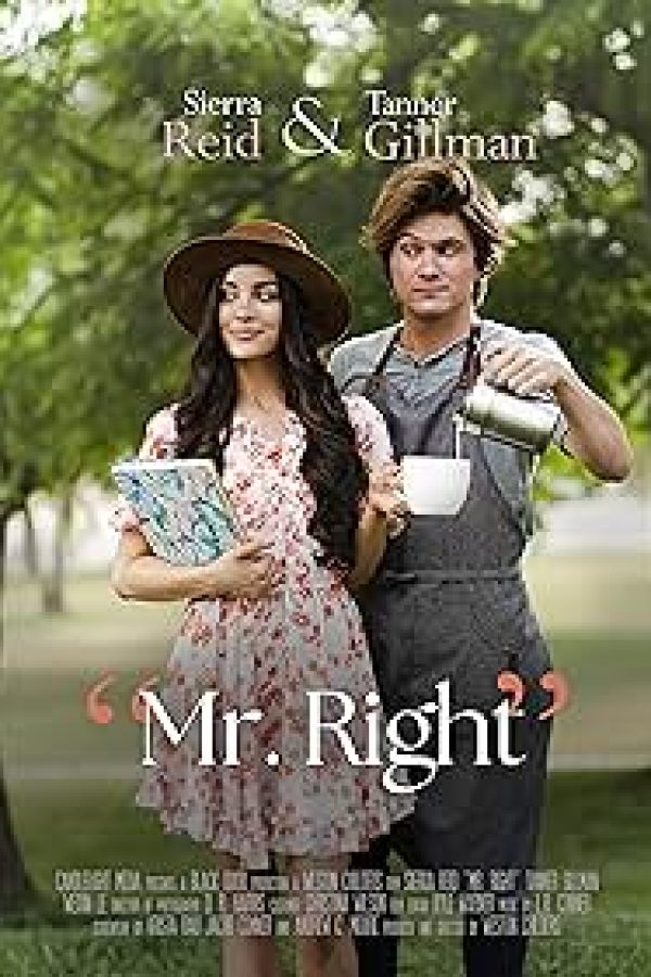 Mr. Right Movie Poster