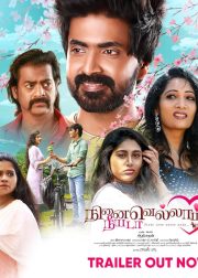 Ninaivellam Neeyada Movie Poster