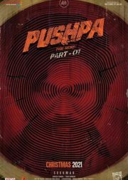 Pushpa: The Rise Movie (2021) Cast & Crew, Release Date, Story, Review, Poster, Trailer, Budget, Collection