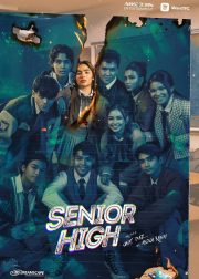Senior High TV Series Poster
