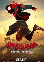 Spider-Man Into the Spider-Verse Movie Poster