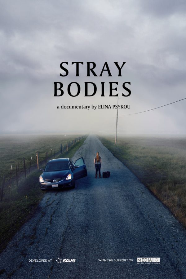 Stray Bodies Movie Poster