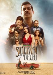 Sultan Of Delhi Web Series Poster