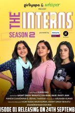 The Interns Web Series Poster