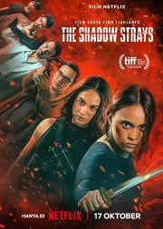 The Shadow Strays Movie Poster