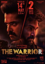 The Warriorr Movie (2022) Cast & Crew, Release Date, Story, Review, Poster, Trailer, Budget, Collection