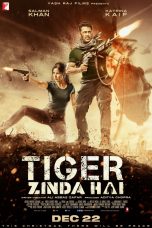 Tiger Zinda Hai Movie (2017) Cast, Release Date, Story, Budget, Collection, Poster, Trailer, Review