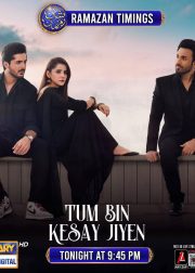 Tum Bin Kesay Jiyen TV Series Poster